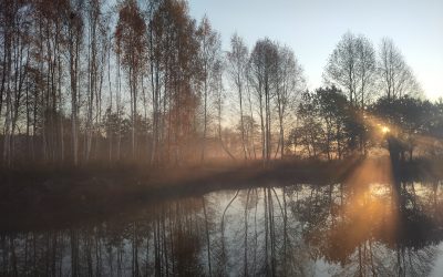 1 listopada – święto rozsnute mgliście…