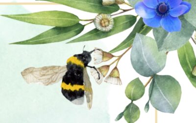 “Rola pszczół w środowisku naturalnym”