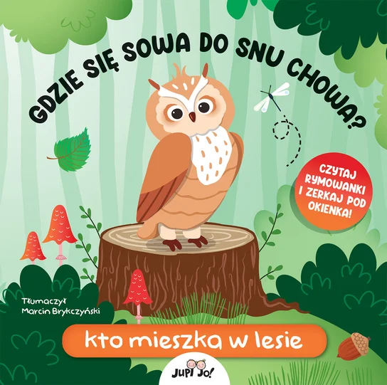 Gdzie się sowa do snu chowa? – Fiona Huisman